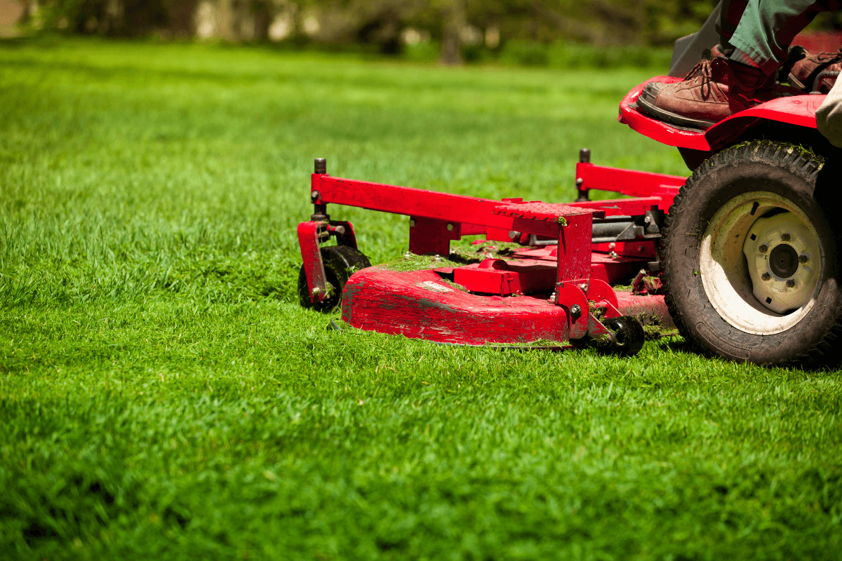 Lawn care service in Lexington, MA